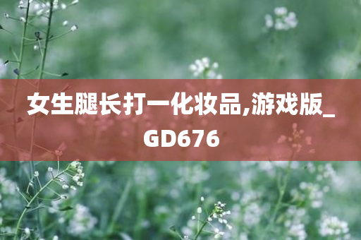 女生腿长打一化妆品,游戏版_GD676