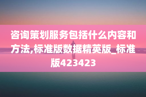 咨询策划服务包括什么内容和方法,标准版数据精英版_标准版423423