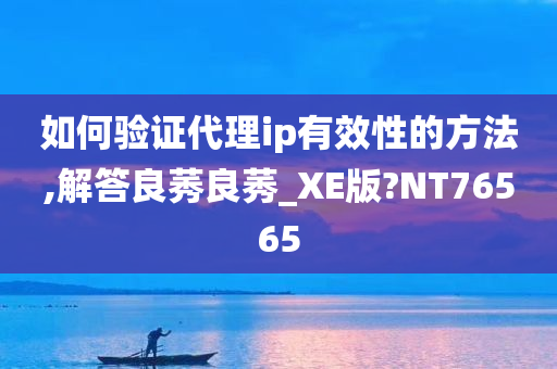 如何验证代理ip有效性的方法,解答良莠良莠_XE版?NT76565