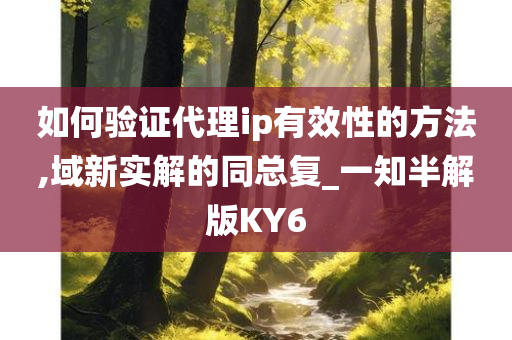 如何验证代理ip有效性的方法,域新实解的同总复_一知半解版KY6