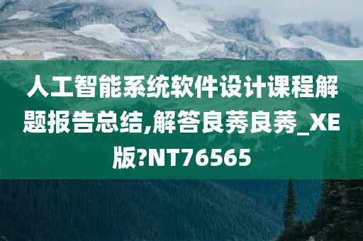 人工智能系统软件设计课程解题报告总结,解答良莠良莠_XE版?NT76565