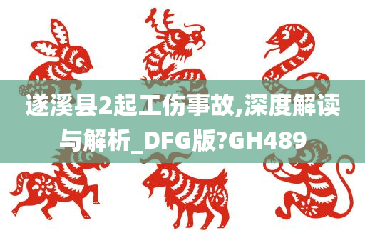 遂溪县2起工伤事故,深度解读与解析_DFG版?GH489