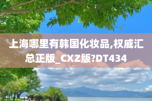 上海哪里有韩国化妆品,权威汇总正版_CXZ版?DT434