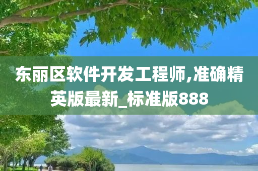 东丽区软件开发工程师,准确精英版最新_标准版888