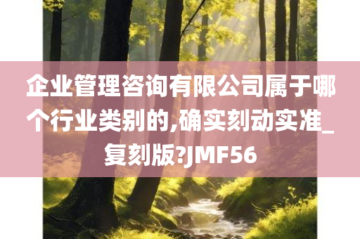 企业管理咨询有限公司属于哪个行业类别的,确实刻动实准_复刻版?JMF56