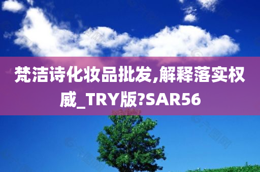 梵洁诗化妆品批发,解释落实权威_TRY版?SAR56