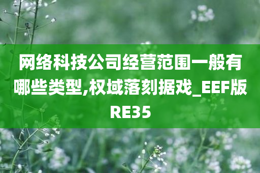 网络科技公司经营范围一般有哪些类型,权域落刻据戏_EEF版RE35