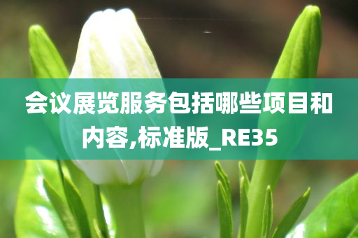 会议展览服务包括哪些项目和内容,标准版_RE35