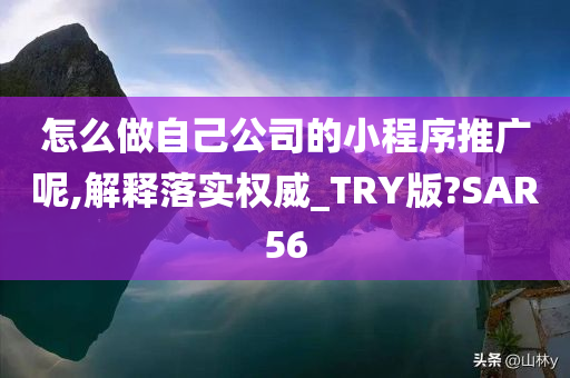 怎么做自己公司的小程序推广呢,解释落实权威_TRY版?SAR56