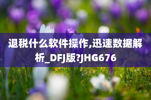 退税什么软件操作,迅速数据解析_DFJ版?JHG676