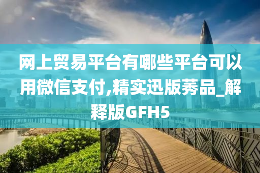 网上贸易平台有哪些平台可以用微信支付,精实迅版莠品_解释版GFH5