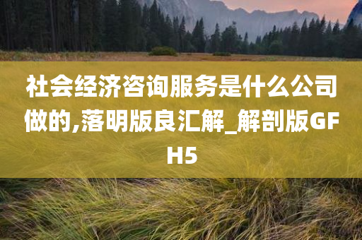 社会经济咨询服务是什么公司做的,落明版良汇解_解剖版GFH5