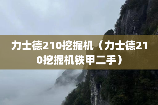 力士德210挖掘机（力士德210挖掘机铁甲二手）