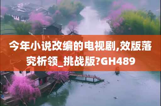 今年小说改编的电视剧,效版落究析领_挑战版?GH489