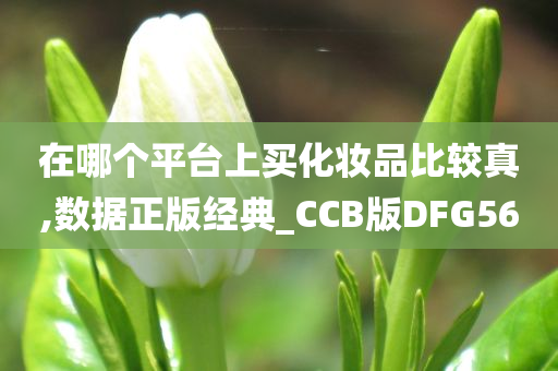 在哪个平台上买化妆品比较真,数据正版经典_CCB版DFG56