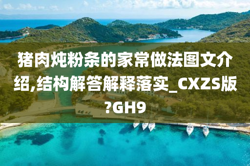 猪肉炖粉条的家常做法图文介绍,结构解答解释落实_CXZS版?GH9