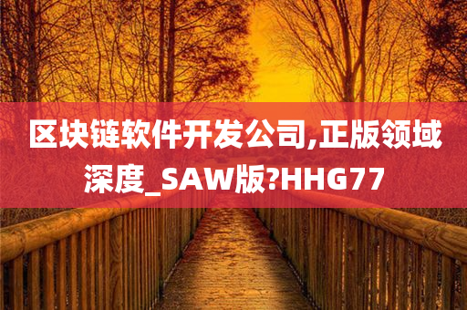 区块链软件开发公司,正版领域深度_SAW版?HHG77