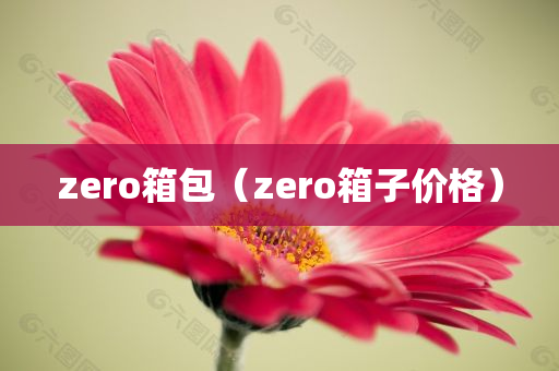 zero箱包（zero箱子价格）