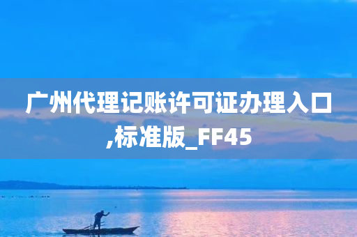 广州代理记账许可证办理入口,标准版_FF45