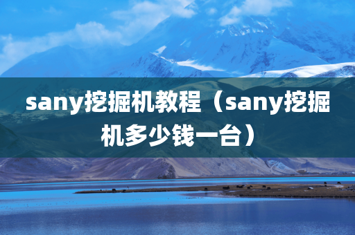 sany挖掘机教程（sany挖掘机多少钱一台）