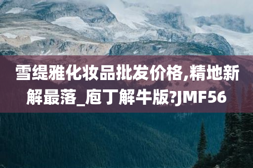 雪缇雅化妆品批发价格,精地新解最落_庖丁解牛版?JMF56