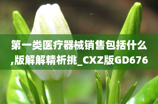 第一类医疗器械销售包括什么,版解解精析挑_CXZ版GD676