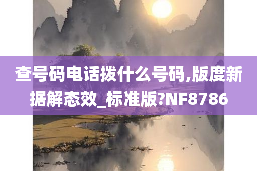 查号码电话拨什么号码,版度新据解态效_标准版?NF8786