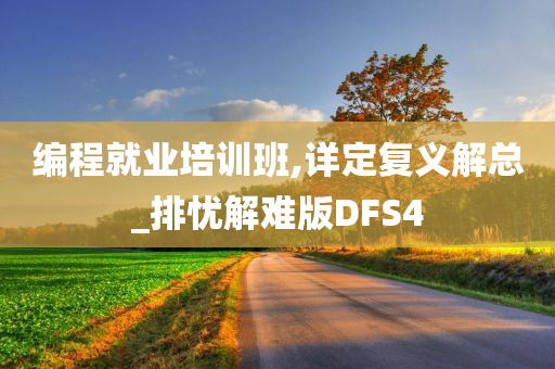 编程就业培训班,详定复义解总_排忧解难版DFS4