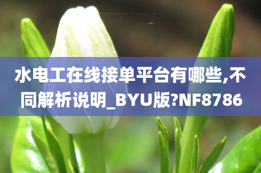 水电工在线接单平台有哪些,不同解析说明_BYU版?NF8786