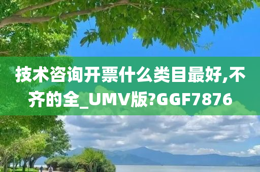 技术咨询开票什么类目最好,不齐的全_UMV版?GGF7876