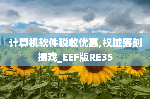 计算机软件税收优惠,权域落刻据戏_EEF版RE35