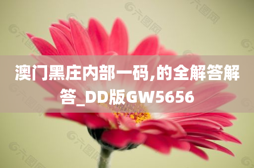 澳门黑庄内部一码,的全解答解答_DD版GW5656