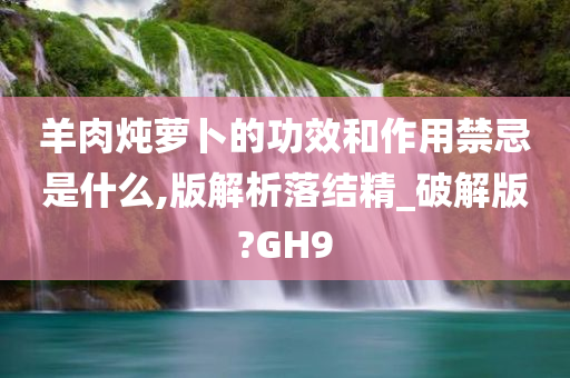 羊肉炖萝卜的功效和作用禁忌是什么,版解析落结精_破解版?GH9