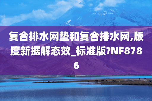 复合排水网垫和复合排水网,版度新据解态效_标准版?NF8786