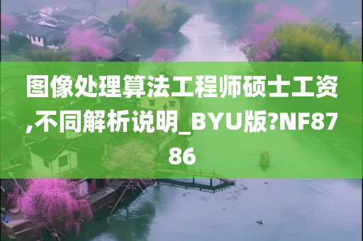 图像处理算法工程师硕士工资,不同解析说明_BYU版?NF8786