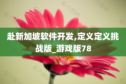 赴新加坡软件开发,定义定义挑战版_游戏版78