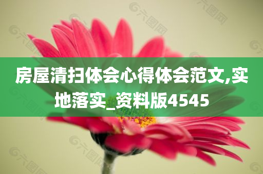 房屋清扫体会心得体会范文,实地落实_资料版4545