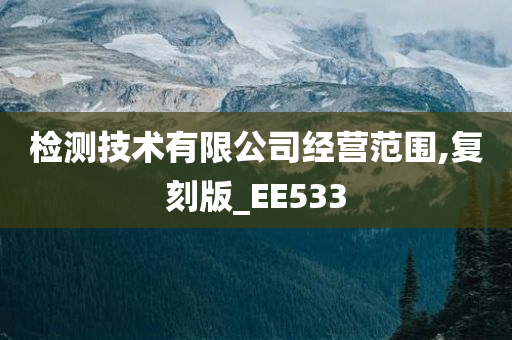 检测技术有限公司经营范围,复刻版_EE533