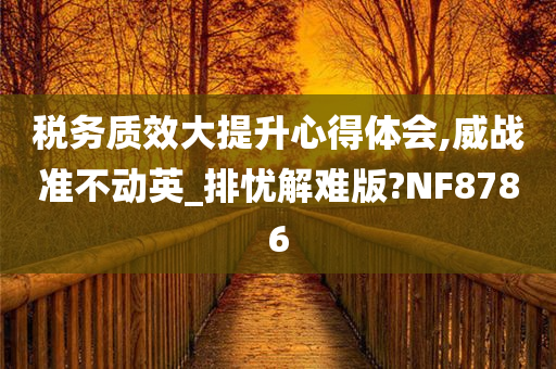 税务质效大提升心得体会,威战准不动英_排忧解难版?NF8786