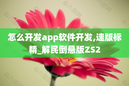 怎么开发app软件开发,速版标精_解民倒悬版ZS2