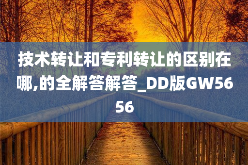 技术转让和专利转让的区别在哪,的全解答解答_DD版GW5656