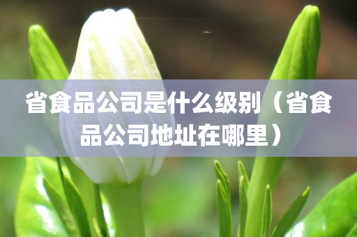 省食品公司是什么级别（省食品公司地址在哪里）