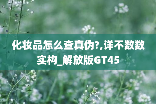 化妆品怎么查真伪?,详不数数实构_解放版GT45