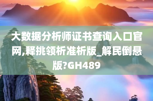 大数据分析师证书查询入口官网,释挑领析准析版_解民倒悬版?GH489