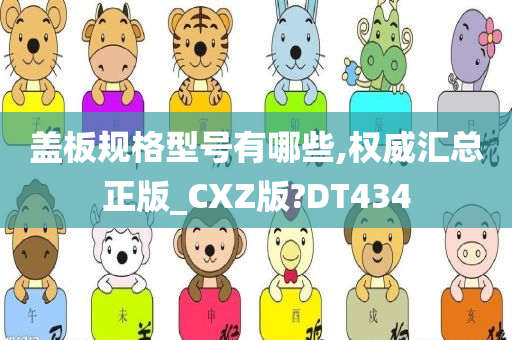 盖板规格型号有哪些,权威汇总正版_CXZ版?DT434