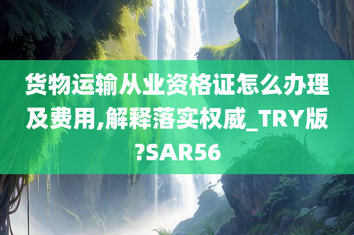 货物运输从业资格证怎么办理及费用,解释落实权威_TRY版?SAR56