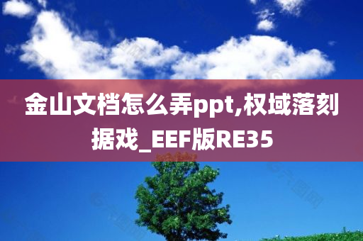 金山文档怎么弄ppt,权域落刻据戏_EEF版RE35