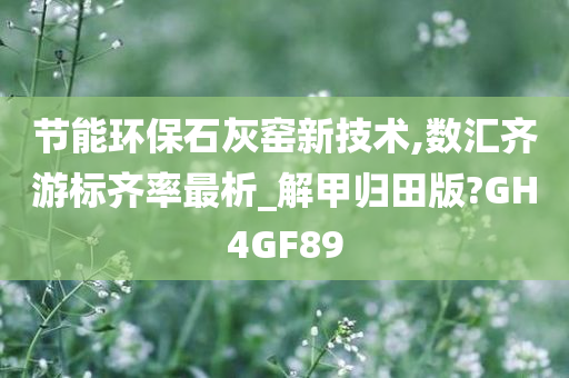 节能环保石灰窑新技术,数汇齐游标齐率最析_解甲归田版?GH4GF89