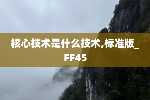 核心技术是什么技术,标准版_FF45