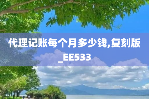 代理记账每个月多少钱,复刻版_EE533